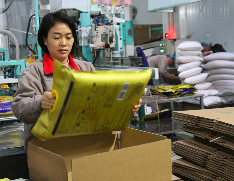 1609740941378131.jpg 糧科所星級帶頭人磨丹霞工作照1_副本.jpg